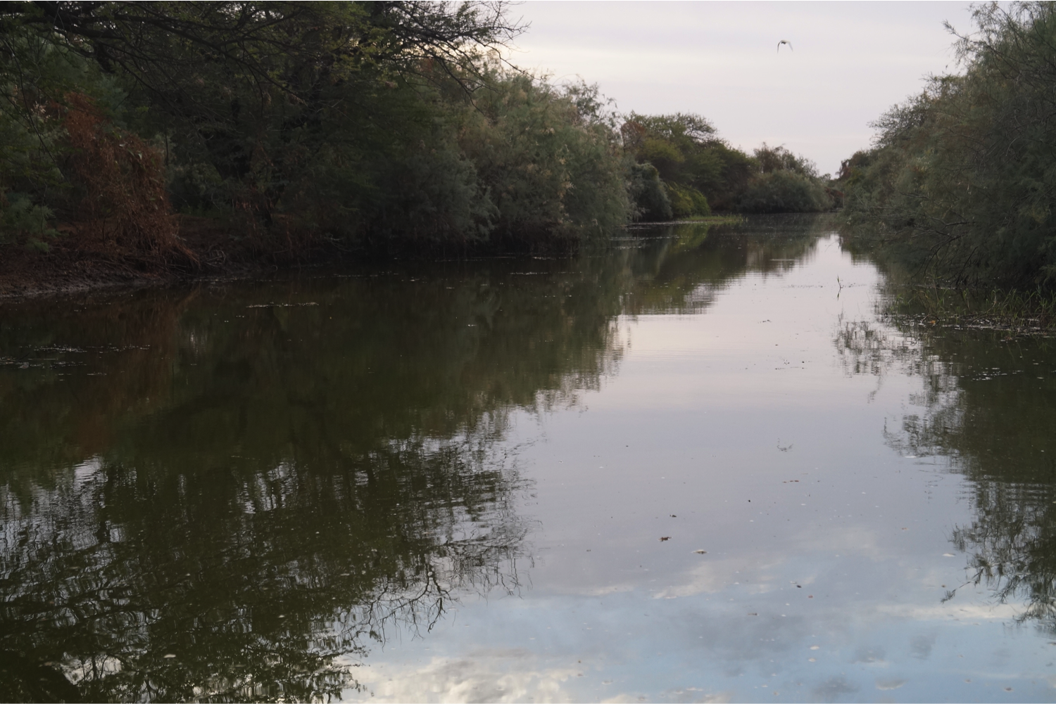 image du canal du crocodile